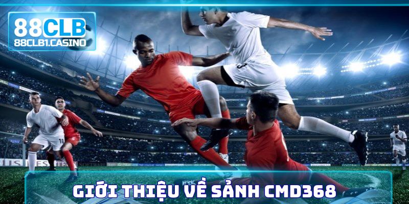 Những thông tin cơ bản cần nắm được về sân chơi CMD368
