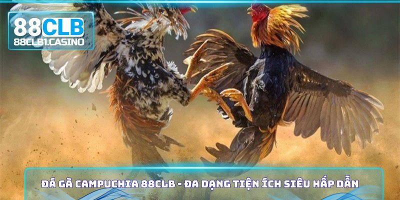 Đá Gà Campuchia