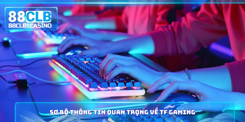Sơ bộ thông tin quan trọng về TF Gaming