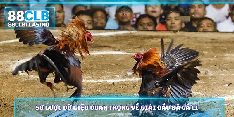 Sơ lược dữ liệu quan trọng về giải đấu đá gà C1