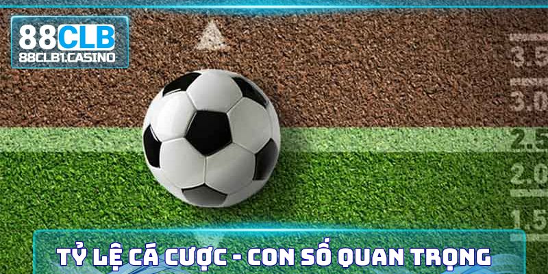 Tỷ Lệ Cá Cược