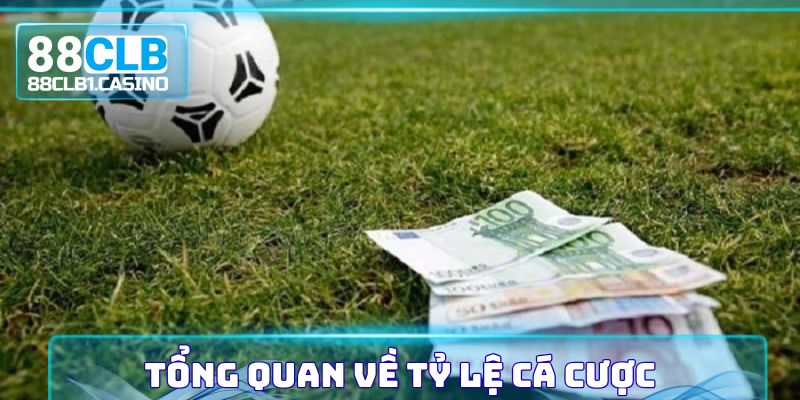 Một vài thông tin tổng quan về khái niệm tỷ lệ cá cược